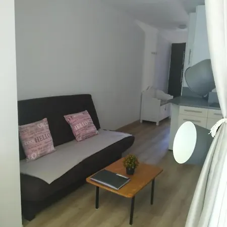 T2 Au Pied Du Marin - Apartment *